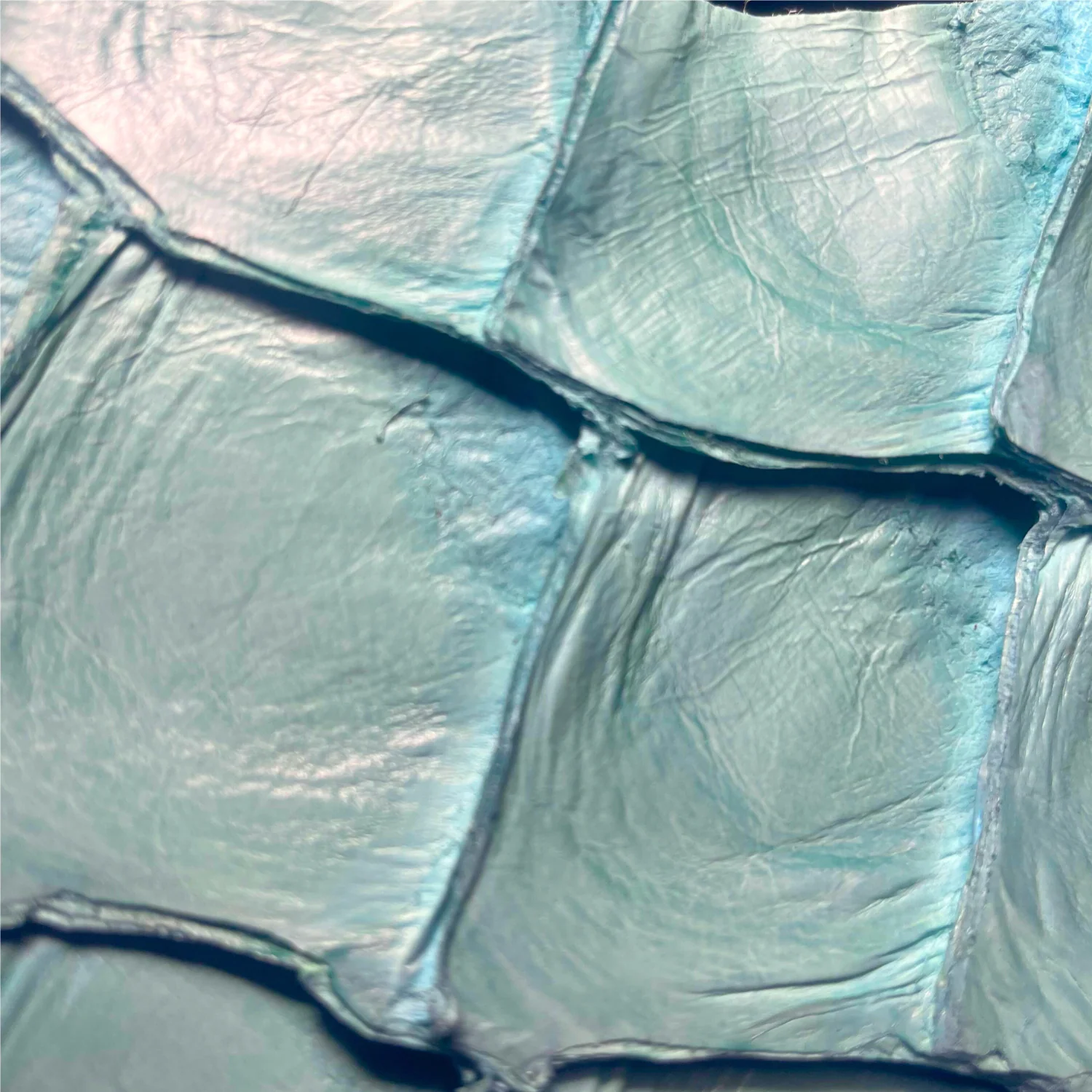 Pirarucu/Fish Chopped Top Leather Corn Silk Welding Hood - Image 16